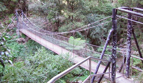 Jenolan River Walking Track - Accommodation BNB 0