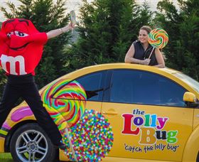 The Lolly Bug - Accommodation BNB 0