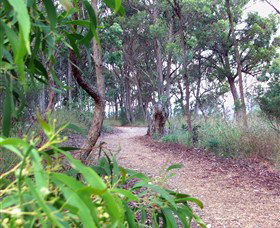 Mount Mutton Walking Trail - Accommodation BNB 0