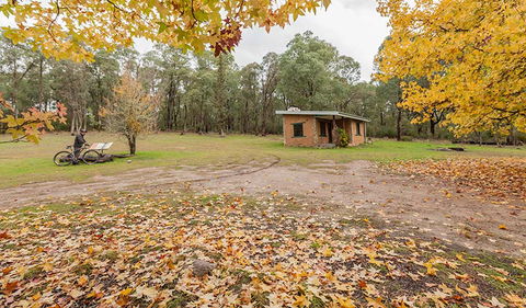 Major Clews Hut Walking Track - Accommodation BNB 2