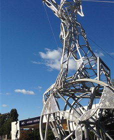 Australian Institute Of Sport (AIS) - Accommodation BNB 0