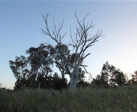 Cooleman Ridge - Accommodation BNB 1