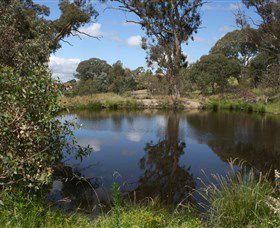 Cooleman Ridge - Accommodation BNB 0