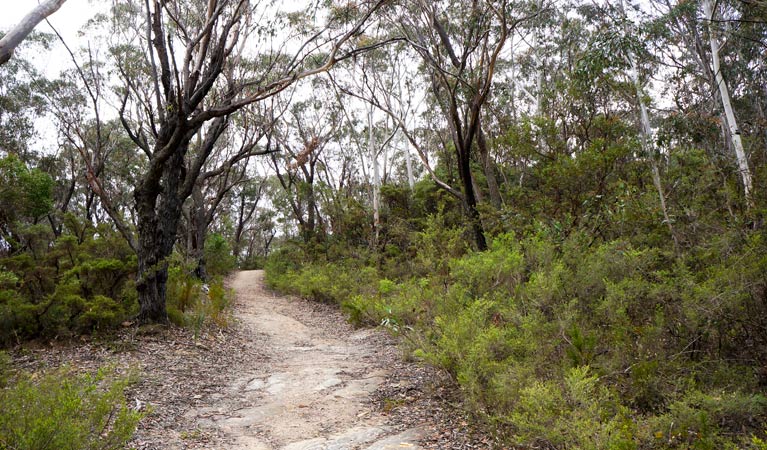 Rydal NSW Accommodation BNB