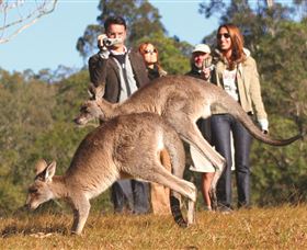 Boutique Tours Australia - Accommodation BNB 2