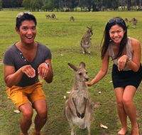 Runaway Tours - Accommodation BNB