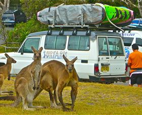 Surfaris Surf Camp - Accommodation BNB 3