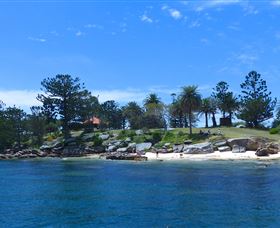 Sydney Harbour Discovery - Accommodation BNB 1