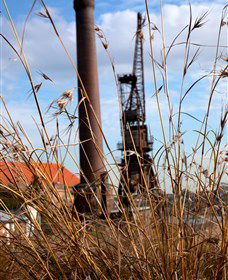 Click Walk Learn Photography Tours - Accommodation BNB 2