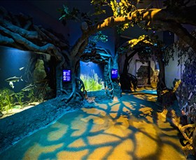 SEA LIFE Sydney Aquarium - Accommodation BNB 2