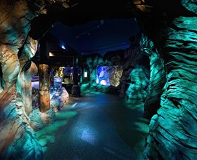 SEA LIFE Sydney Aquarium - Accommodation BNB 3