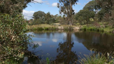 Cooleman Ridge - Accommodation BNB 3