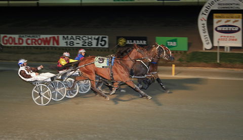 Bathurst Harness Racing Club - Accommodation BNB 3
