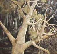Ku-Ring-Gai Art Centre  Gallery - Accommodation BNB