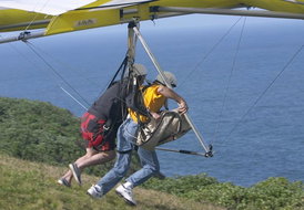 Book Newcastle NSW Attractions Accommodation BNB Accommodation BNB