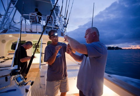 Amokura Charters - Accommodation BNB 1