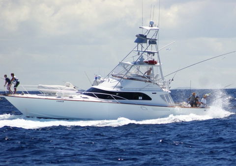 Amokura Charters - Accommodation BNB 2