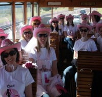 Newcastles Famous Tram