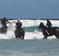 Pegasus Park Equestrian Centre - Accommodation BNB