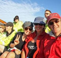 Byron Bay Whale Watching - Accommodation BNB