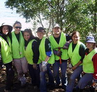 Conservation Volunteers Australia - Sydney - Accommodation BNB