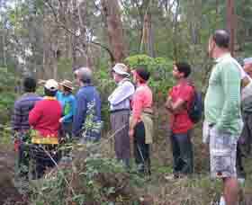 Boronia Tours - Accommodation BNB 0