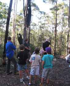 Boronia Tours - Accommodation BNB 1