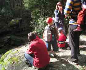 Boronia Tours - Accommodation BNB 2