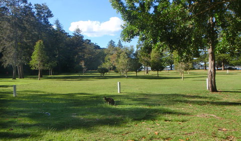 The Basin Picnic Area - Accommodation BNB 1