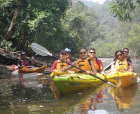 Southern Cross Kayaking - Hawkesbury - Accommodation BNB 0