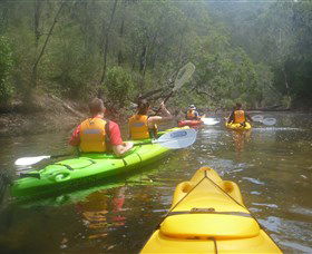 Southern Cross Kayaking - Hawkesbury - Accommodation BNB 2