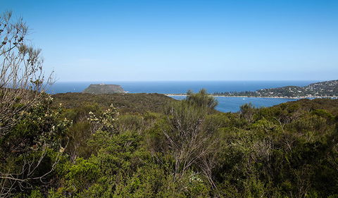 Aboriginal Heritage Walk - Accommodation BNB 1
