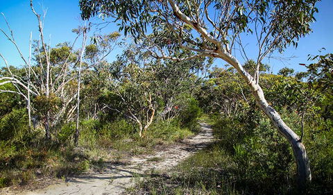 Aboriginal Heritage Walk - Accommodation BNB 2