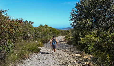 Aboriginal Heritage Walk - Accommodation BNB 3
