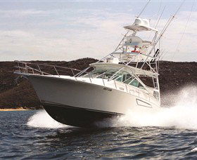 1300 Big Fish - Accommodation BNB 0