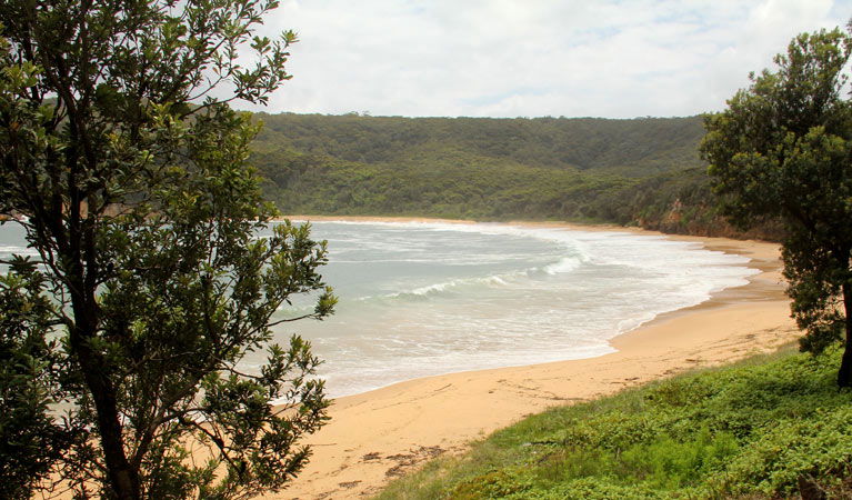 Macmasters Beach NSW Accommodation BNB