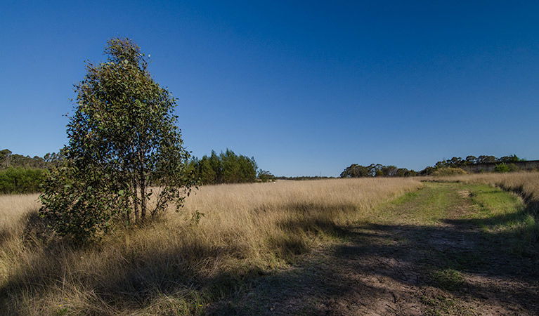 Oakville NSW Accommodation BNB