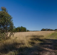 Scheyville horse riding trails - Accommodation BNB
