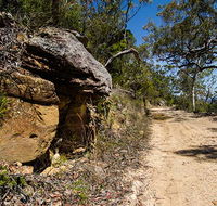 Canoelands Ridge walking track - Accommodation BNB