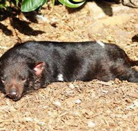 Symbio Wildlife Park - Accommodation BNB