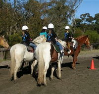 Darkes Forest Riding Ranch - Accommodation BNB