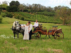 Classic Carriage Drives - Accommodation BNB 2