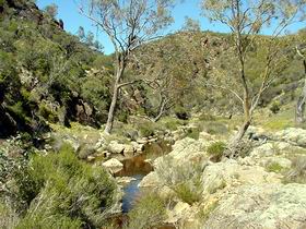 Saunders Gorge Sanctuary - Accommodation BNB 1
