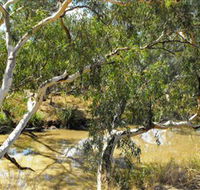 Quilberry Creek Fishing - Accommodation BNB