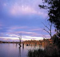 Loch Luna Game Reserve and Moorook Game Reserve - Accommodation BNB