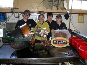 Melba's Chocolate And Confectionery Factory - Accommodation BNB 1