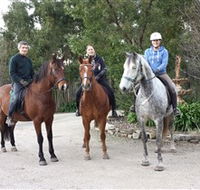 Academy of Dressage - Accommodation BNB