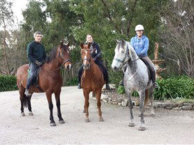Academy Of Dressage - Accommodation BNB 0