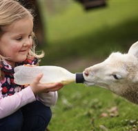 Hahndorf Farm Barn - Accommodation BNB