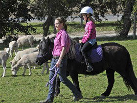 Hahndorf Farm Barn - Accommodation BNB 2